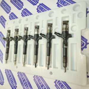 CR Injector Disassembly Plastic Tray